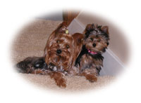 Pepper & Josie